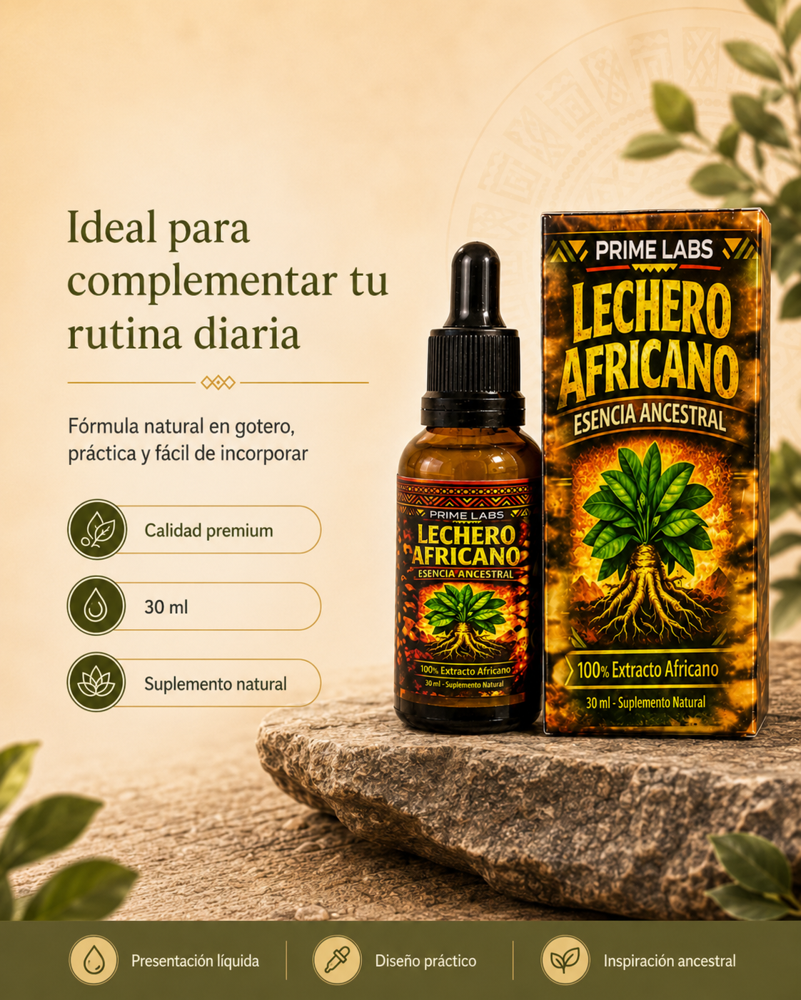 LECHERO AFRICANO