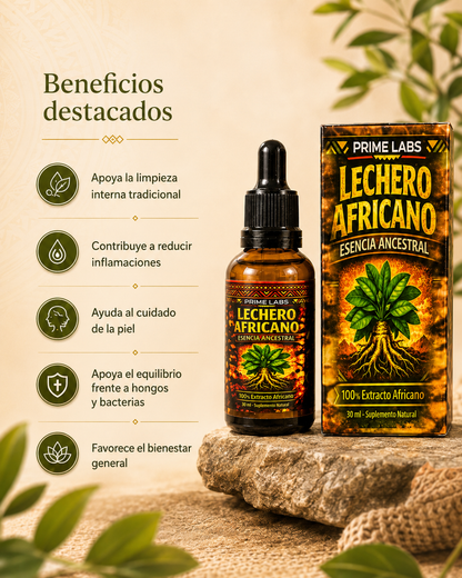 LECHERO AFRICANO