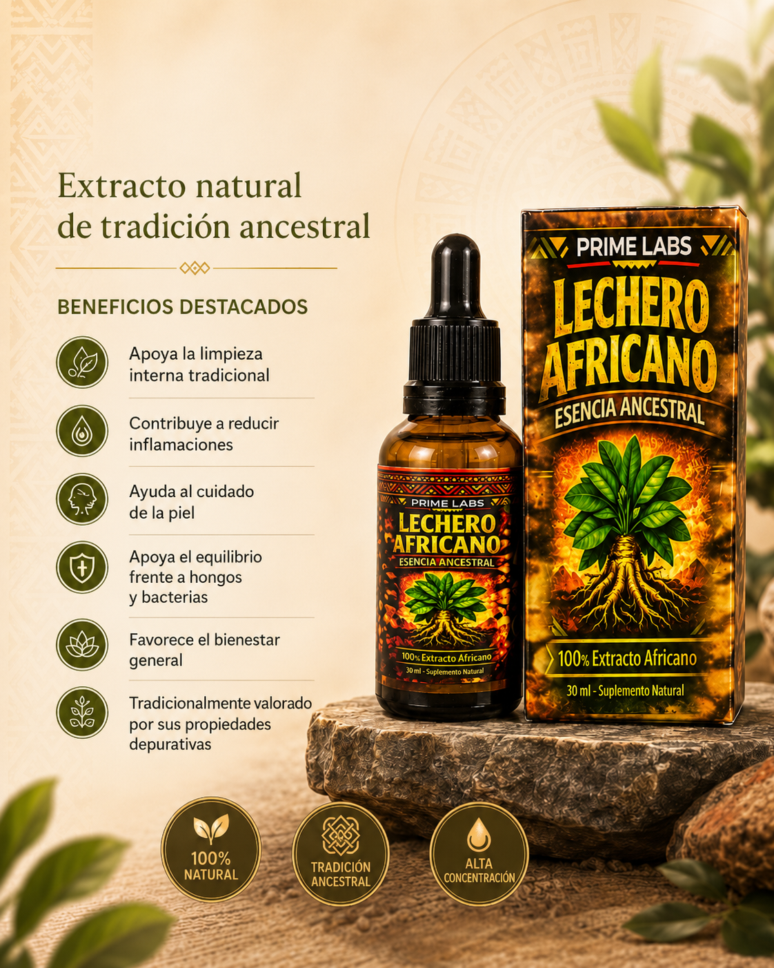 LECHERO AFRICANO