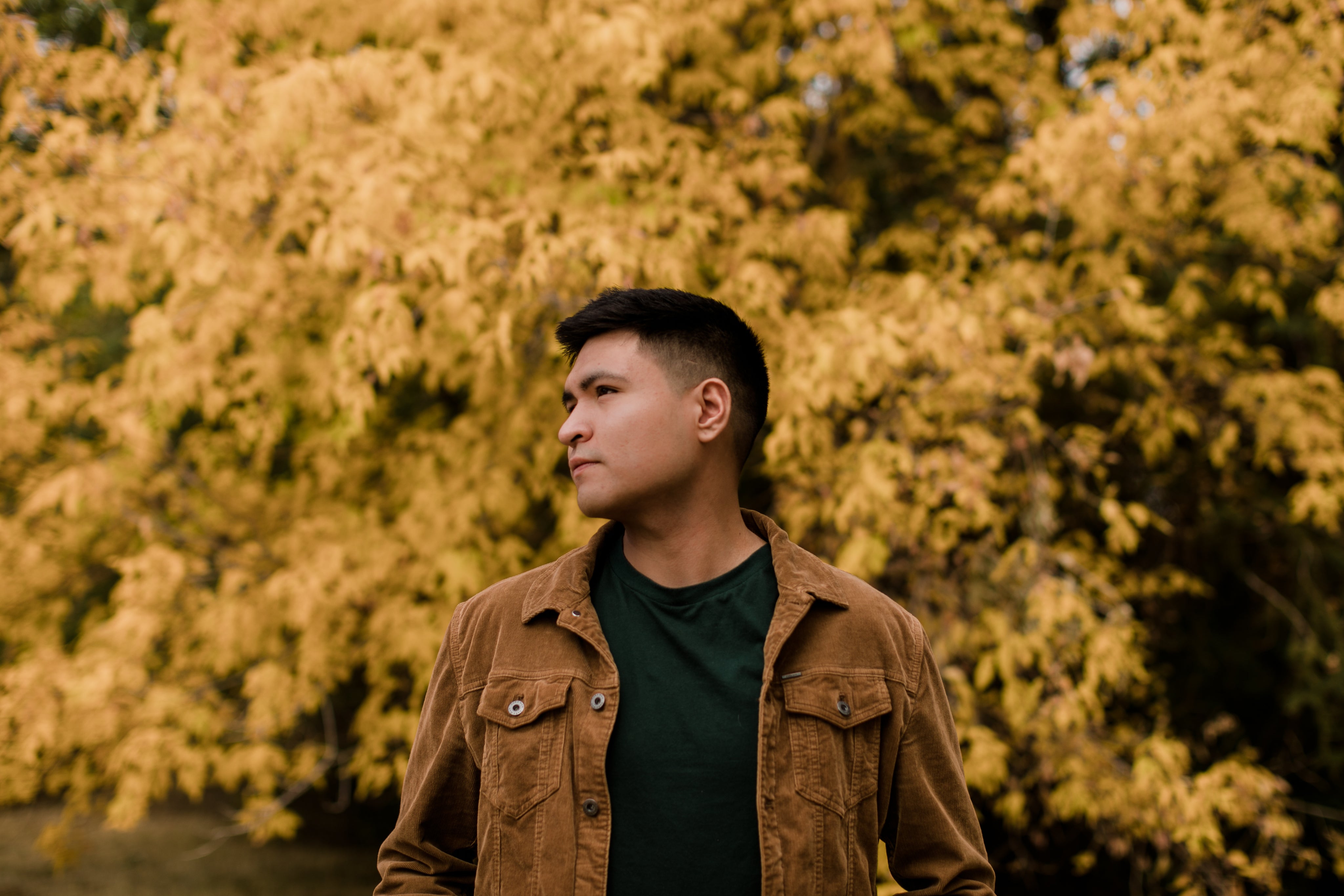 <em>William castilla</em>